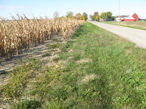 Property photo 3 - 65+/- Acres Offered in 2 Tracts